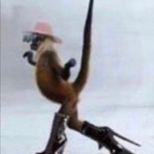 Meet your Posher, Maggie